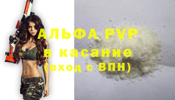 скорость Ельня