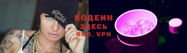скорость Ельня