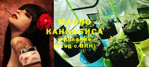 скорость Ельня