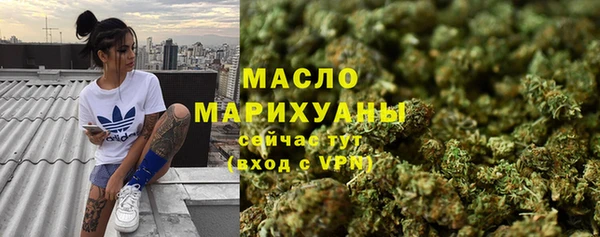 скорость Ельня