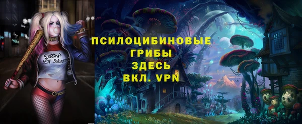 скорость Ельня
