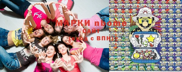 скорость Ельня