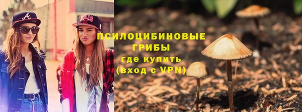 первитин Елабуга