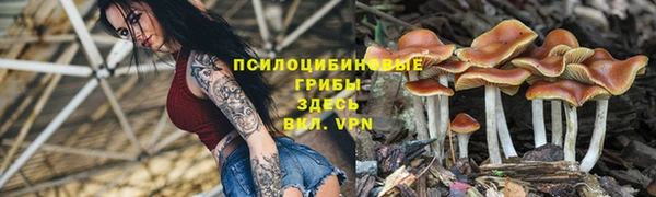 скорость Ельня